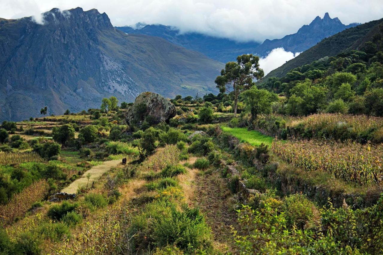 Las Qolqas Ecoresort Ollantaytambo Kültér fotó